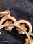 Victorian Seed Pearl 9ct Gold Pendant 1.28gm Carousel 3