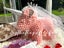 Foam Animal Models | DIY Craft Decorations Gift Carousel 5