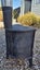 Champion Hot Dogge Small Fire & New Flue Kit Carousel 4