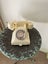 Bakelite Telephone Carousel 5