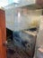 2x fish tanks Carousel 1
