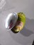 Wilton Egg Cake Pan Carousel 1