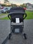 Tidy Evenflo Baby stroller Carousel 3