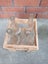 3 Large Coca-Cola and Small One and other Bottle Carousel 5