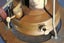 Vintage Primus Camp Stove Carousel 3