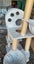 cat tower Carousel 5