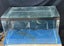 Fish Tank Carousel 1