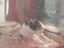 Female mice x 2 and enclosure Carousel 6