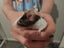 Female mice x 2 and enclosure Carousel 4