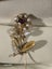 $1 18ct Gold Seed Pearl Flower Brooch 0.85gm Carousel 7
