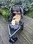 Stroller - excellent condition Carousel 3