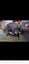 Carseat and base Carousel 5