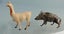 Vintage Britains Zoo Lead Animals: Wild Boar & Llama Carousel 1