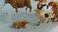 Vintage Britains Flock-Covered Lead Farm & Zoo Animals Carousel 3