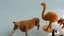 Vintage Britains Flock-Covered Lead Farm & Zoo Animals Carousel 5