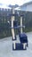 Cat Tree Scratching Post Tower Carousel 4