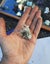 $1res - chlorite included quartz - Pakistan Carousel 5