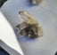 $1res - chlorite included quartz - Pakistan Carousel 3