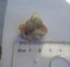 $1res - quartz chalcedony stalictite formation- india Carousel 6