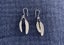 Boh Runga Feather Earrings. Sterling Silver Carousel 1