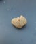 $1res- botroydial chalcedony -thumbnail specimen Carousel 2