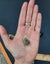 $1res- botroydial chalcedony -thumbnail specimen Carousel 4