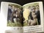 "Manhood is a Serious Business", Cath Tate's wry humour, a good gift Carousel 4