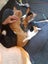Brave Paws Cat Rescue - Kitten - NIGEL Carousel 8