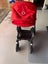 Bugaboo Buffalo Strollers/Buggy & bassinet Carousel 1