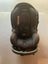 Maxi Cosi mico max 30 Carousel 5