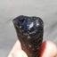 Moldavite Drop 21.93g Carousel 10