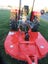 Massey Ferguson 245 Tractor and Mower Topper Carousel 8