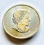 2020 Canada 1.5 oz Silver $8 Kermode Spirit Bear BU Carousel 2