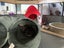 PHIL AND HARRY - KITTENS AVAILABLE FOR ADOPTION - PET WHISPERER RESCUE Carousel 6