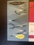 5 VINTAGE NAC BROCHURES Carousel 4