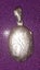 Silver Locket Carousel 4