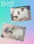 Mini lop Rabbits Carousel 3