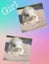 Mini lop Rabbits Carousel 7