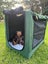 Outward Hound Travel Crate Carousel 1