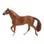 Loading Image 1 of 3