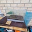 Small turtle tank for sale Carousel 3