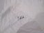 Signed Late 90’s All Blacks T-Shirt Carousel 8