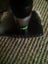 Greenstone Good Quality Adze shape carving slab Tile $1 reserve MAY DEALS Carousel 7