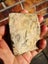 Greenstone Good Quality Adze shape carving slab Tile $1 reserve MAY DEALS Carousel 5