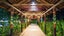 Samoa Accommodation - Tanoa Tusitala - June 28 to July 2 2025 Carousel 9