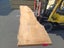 KAURI SLAB ( NZ NATIVE ) - ROUGH SAWN - 600-650 x 50mm x 3.9m - TS7370 Carousel 4