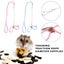 Hamster Traction Rope Anti Bite Mouse Walking Leash Windproof Outdoors Safe Carousel 7