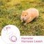 Hamster Traction Rope Anti Bite Mouse Walking Leash Windproof Outdoors Safe Carousel 12