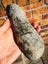 Greenstone Good Quality carving slab small mere shape $1 reserve MAY DEALS Carousel 5