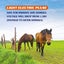 Electric Fence Energiser - New Carousel 9